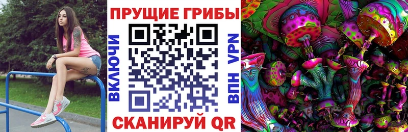 Псилоцибиновые грибы MAGIC MUSHROOMS  мега tor  Берёзовка 