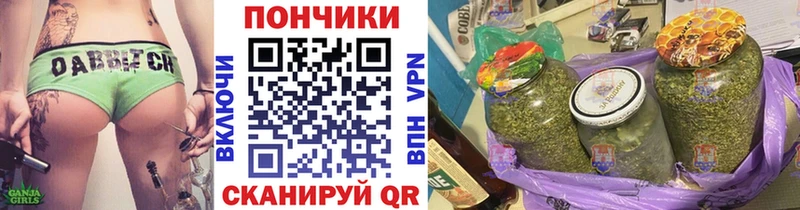 Бошки марихуана Amnesia продажа наркотиков блэк спрут Берёзовка